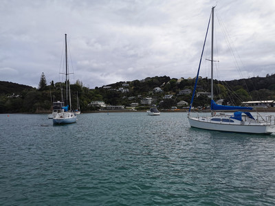 IMG_20200309_103055.jpg